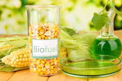 Belfast biofuel availability